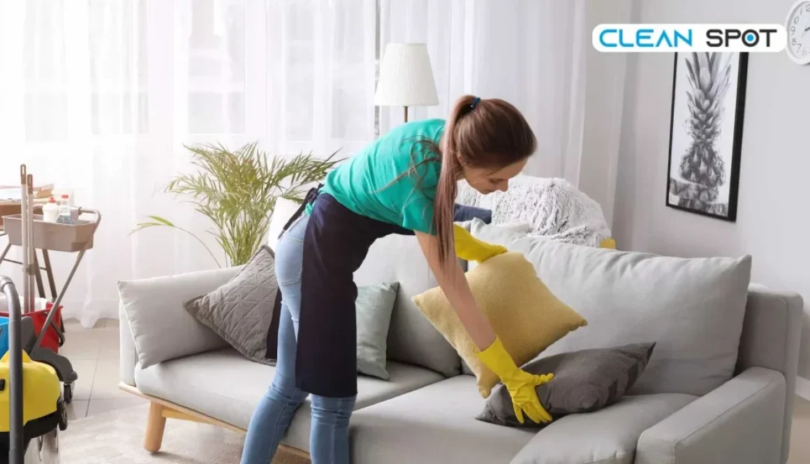 clean-spot clean spot oradea