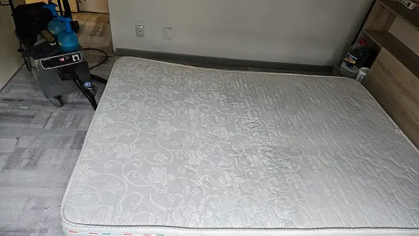 spalatorie saltele oradea cleanspot