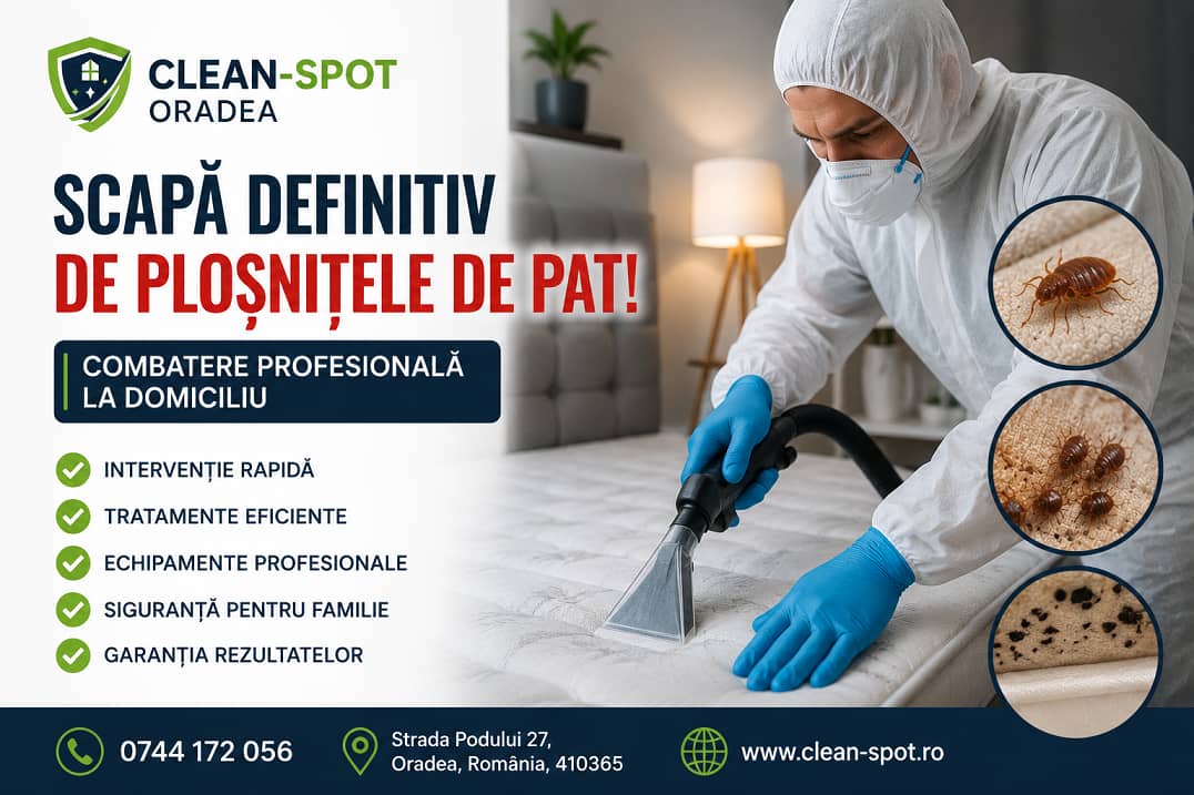 Combatere și eliminare profesională a ploșnițelor de pat în Oradea, urmată de curățarea și igienizarea saltelei prin injecție-extracție.
