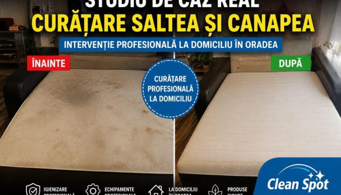 Studiu de caz real – Curățare saltea și canapea la domiciliu în Oradea | Clean Spot Studiu de caz real – Curățare saltea și canapea la domiciliu în Oradea | Clean Spot