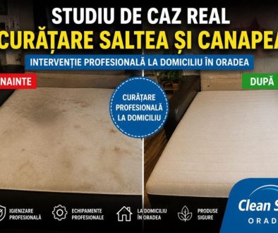 Studiu de caz real – Curățare saltea și canapea la domiciliu în Oradea | Clean Spot Studiu de caz real – Curățare saltea și canapea la domiciliu în Oradea | Clean Spot