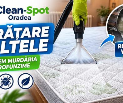 Curățare Saltele Oradea la Domiciliu – Clean-Spot Curățare profesională saltea la domiciliu în Oradea cu injecție-extracție – Clean-Spot
