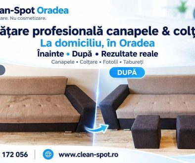 Curățare și spălare canapele la domiciliu în Oradea – Clean-Spot Curățare profesională cu abur a unei canapele la domiciliu în Oradea